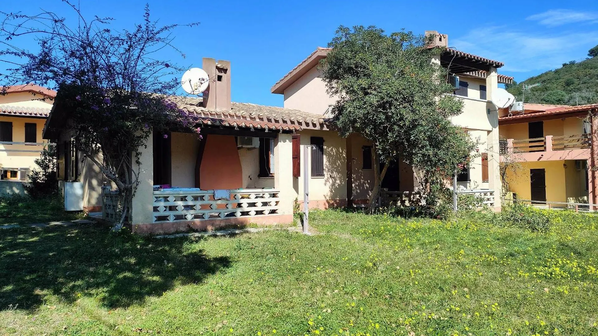 Bouganville Costa Rei İtalya